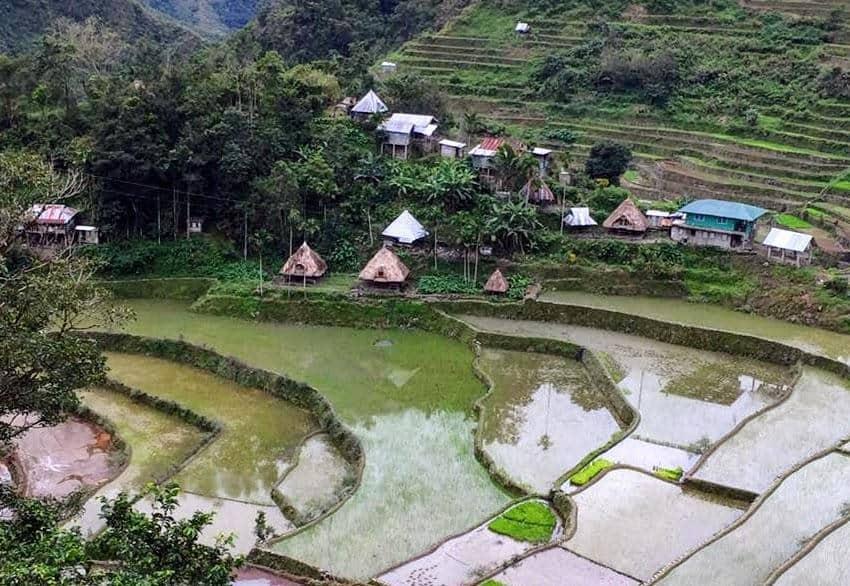Filipinler Batad: 2000 Yıllık Pirinç Terasları