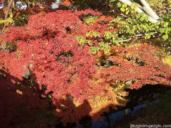 Nara/Japan